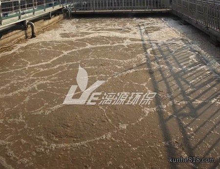 豆腐加工废水处理工艺