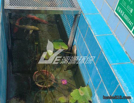 新材料化工企业含苯废水处理改造工程